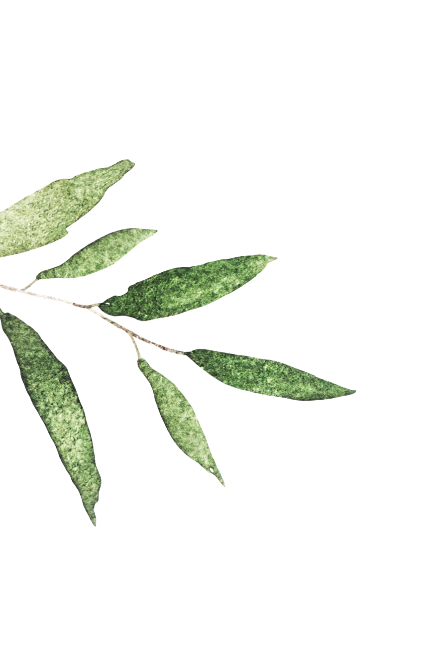leaf1