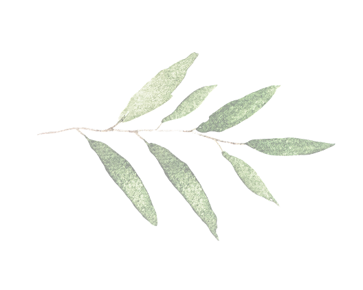 leaf12