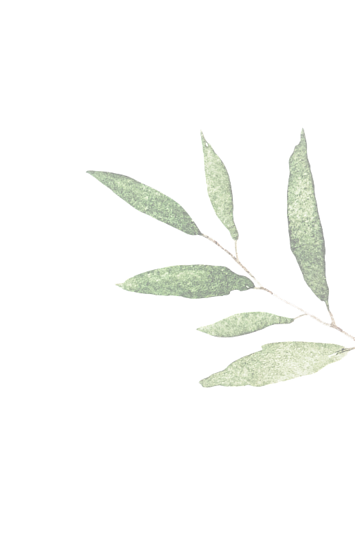 leaf13