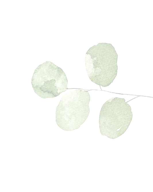 leaf14
