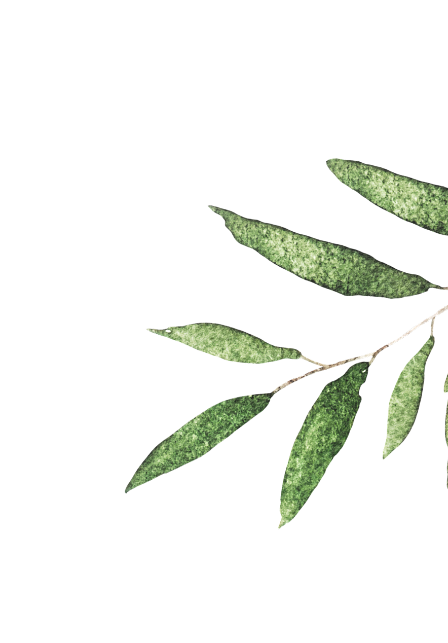 leaf5