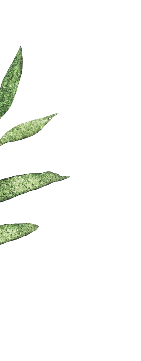 leaf7