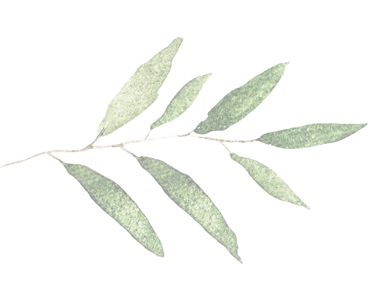 leaf8
